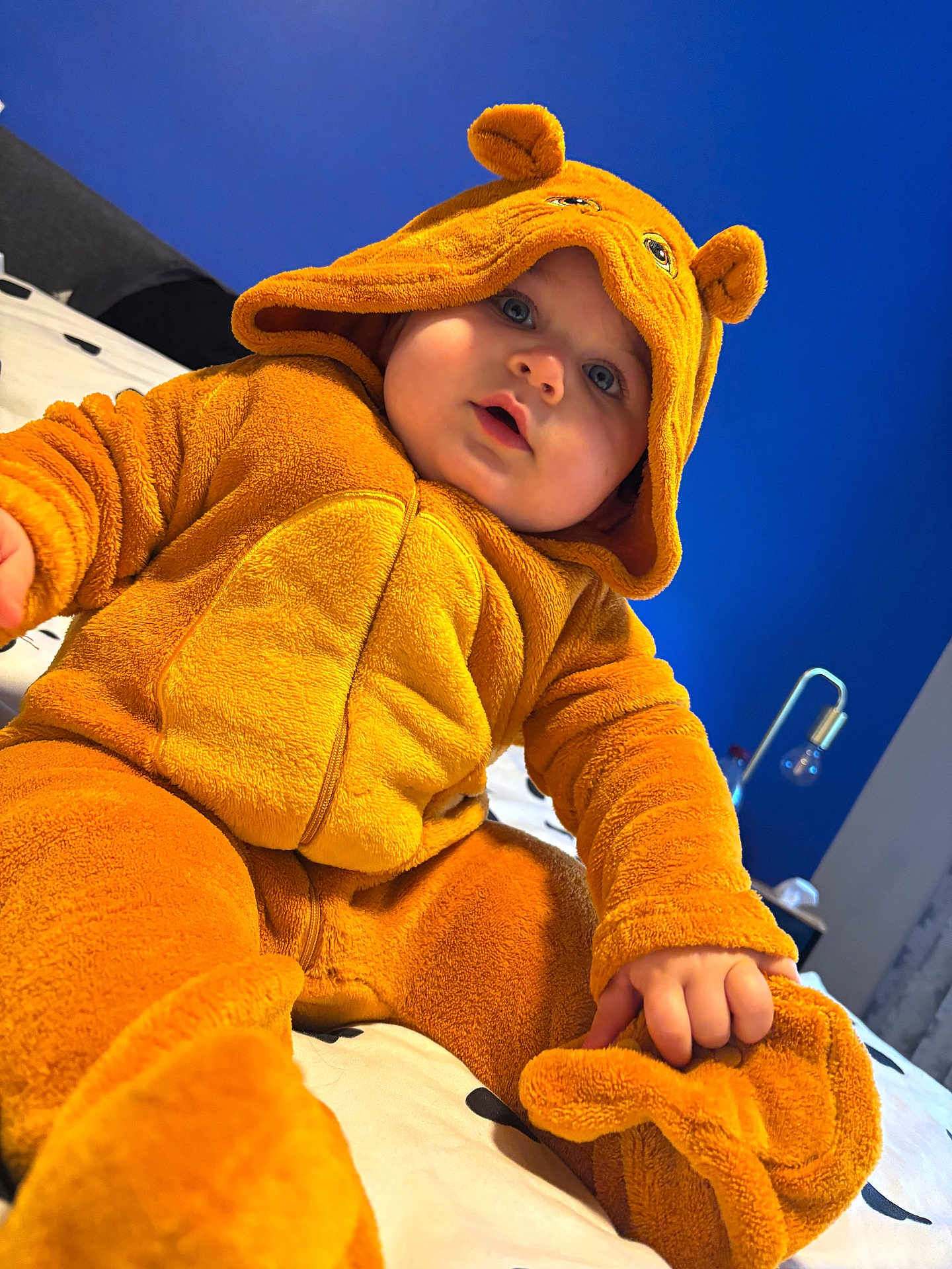 Elena a rejoint le concours — aidez-le/la à gagner de superbes lots ! baby, child, orange_costume, bear_hood, fuzzy_clothing, indoor, bed, blue_wall, plush, cute, infant, hand, footwear, face, person, sitting, portrait, cozy, expression, room