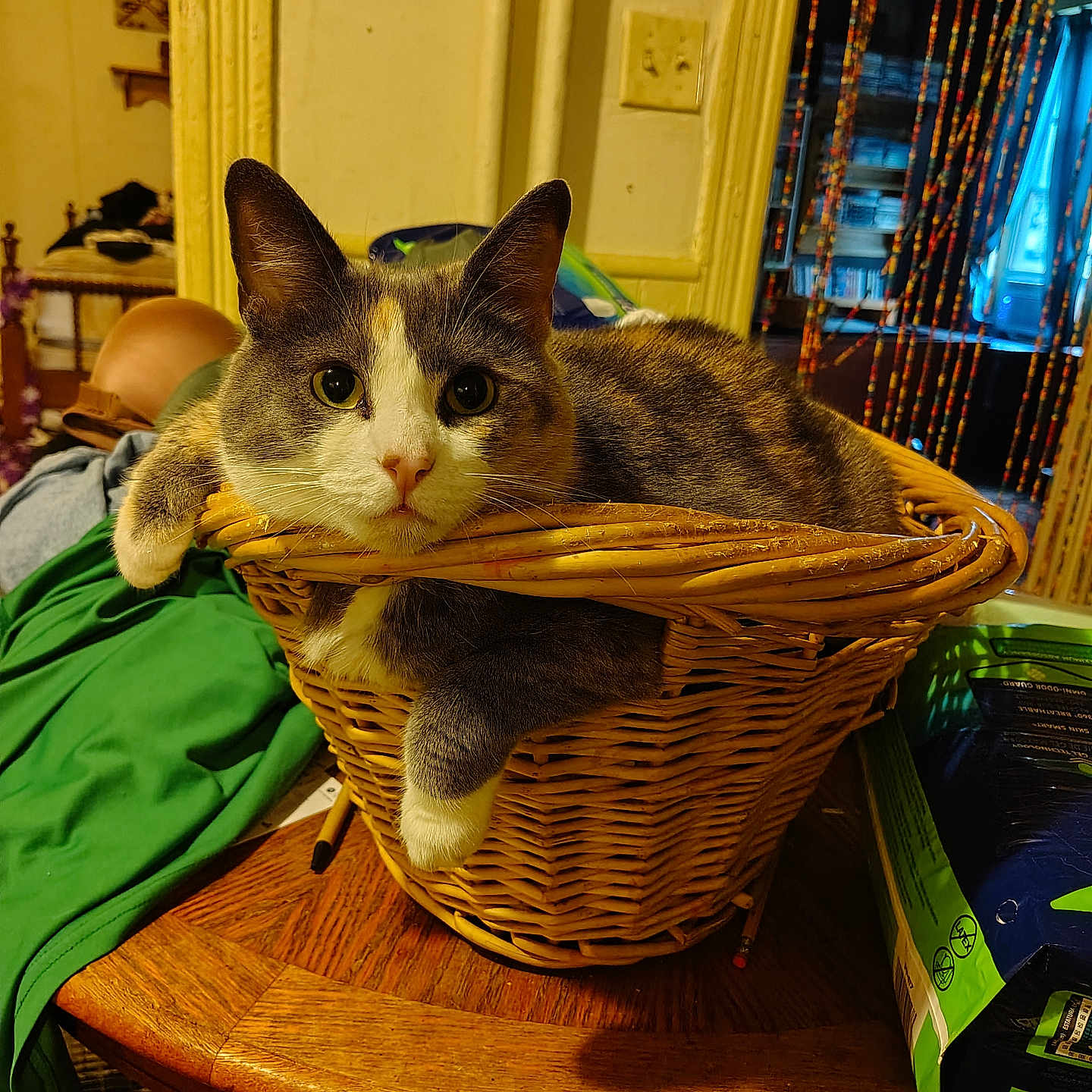 Mia