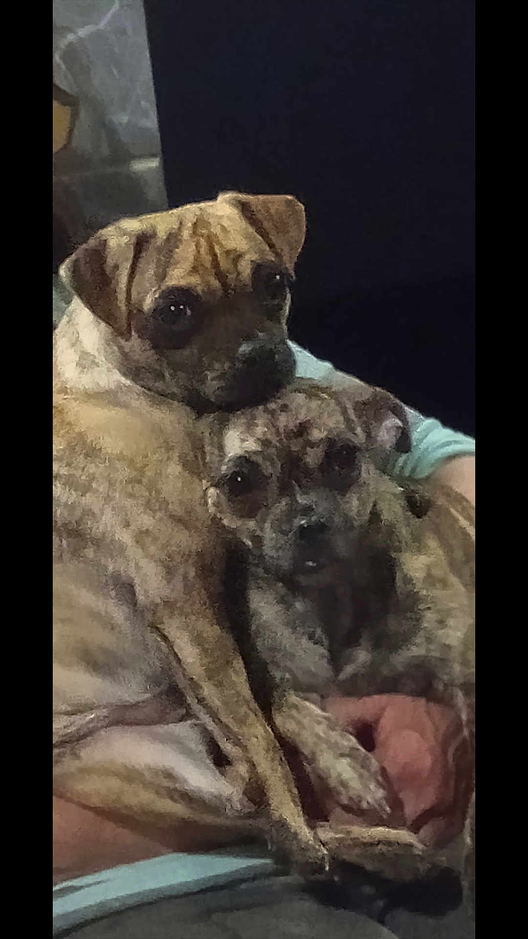 Lola N Lulu