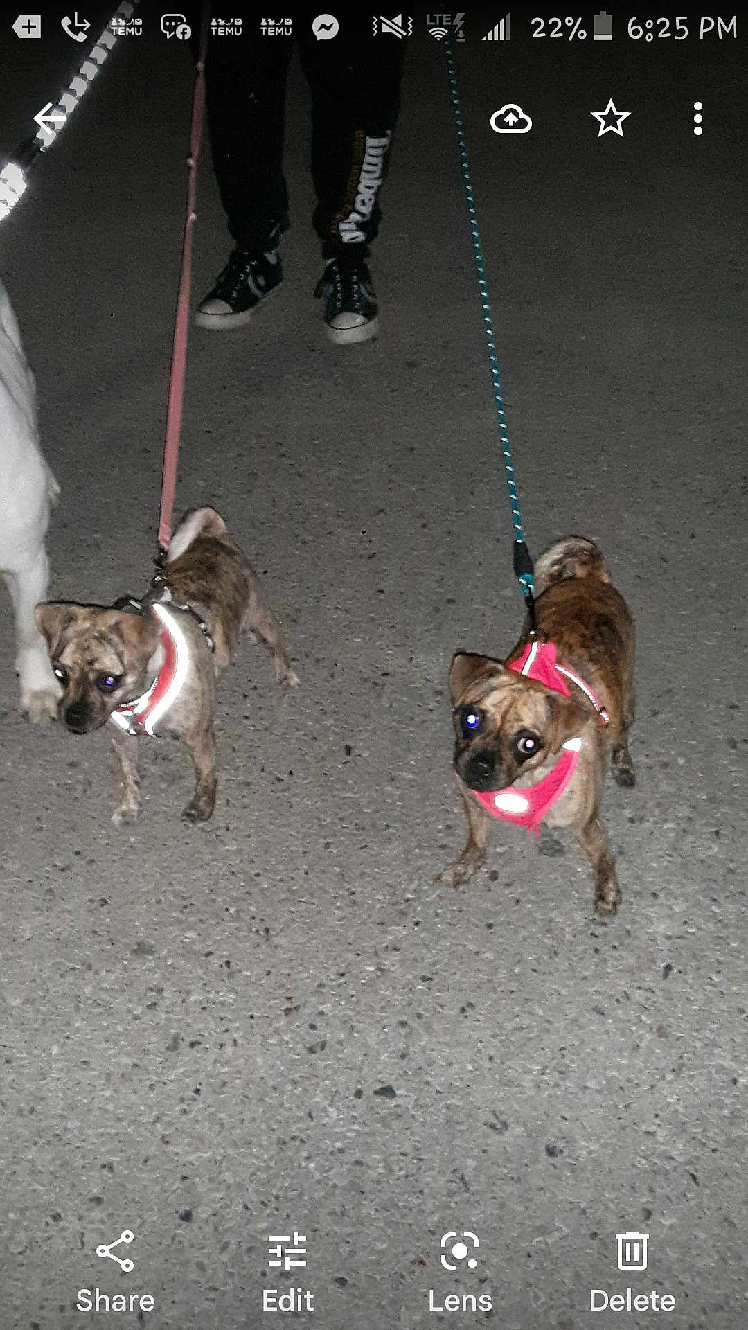 Lola N Lulu