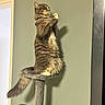 Kirua a rejoint le concours — aidez-le/la à gagner de superbes lots ! cat, tabby_cat, pet, animal, feline, cat_tree, indoor, standing, fur, tail, whiskers, paws, shadow, carpeted, gray, green_wall, doorframe, cute, posing, domestic