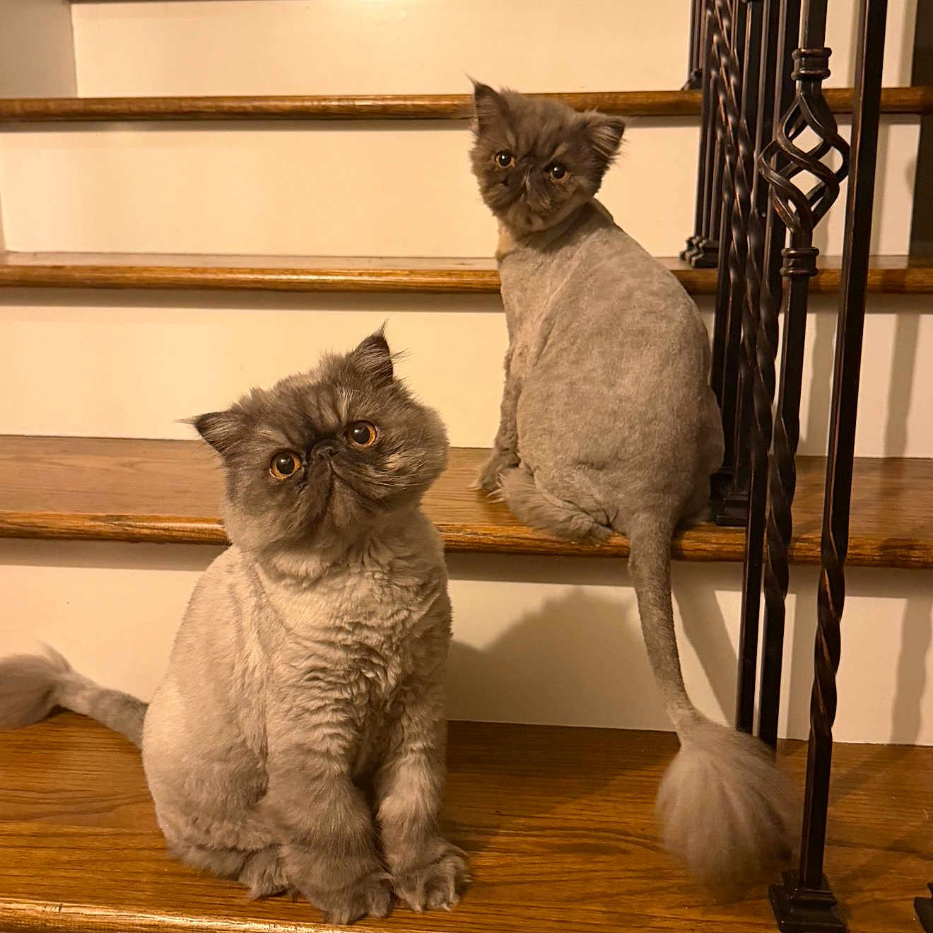 Rudy And Randy