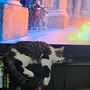 Cylde is registered to the contest to win money with this photo: cat, black_and_white_cat, sleeping, relaxed, pet, animal, indoors, television, screen, firefighter, fire, drama, clothing, laundry, pile_of_clothes, furniture, living_room, close_up, striped_fur, resting