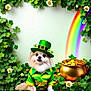dog, costume, green_hat, clover, shamrock, pot_of_gold, rainbow, flower, festive, cute, fluffy, animal, celebration, holiday, nature, leaf, portrait, gold_coins, green_shirt, whimsical