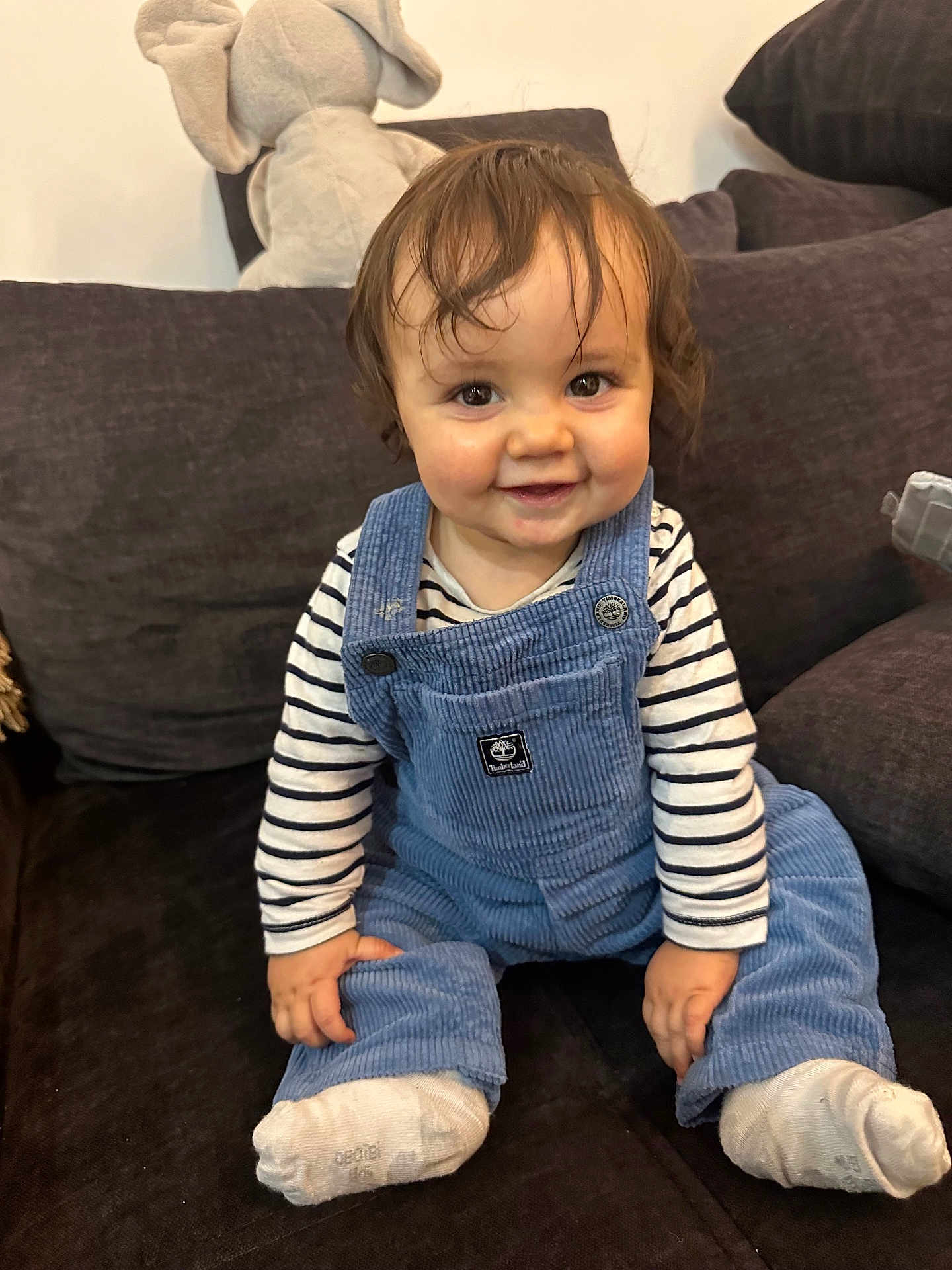 Pablo participe au concours pour gagner de l'argent avec cette photo : toddler, child, smile, overalls, striped_shirt, socks, curly_hair, couch, plush_toy, elephant, indoor, happy, face, seated, cute, baby, clothing, person, home, portrait