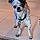 Chumly