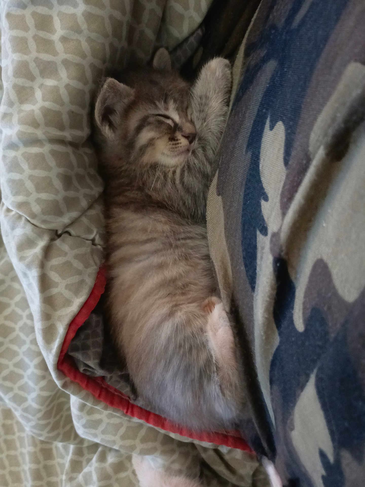 Nala