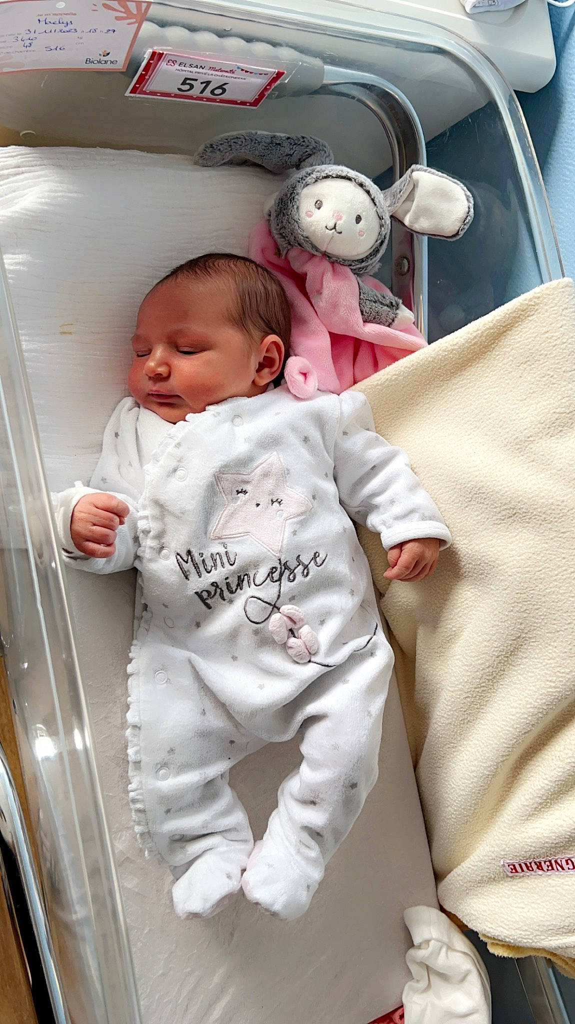 Maëlys participe au concours pour gagner de l'argent avec cette photo : baby, baby_products, baby_safety, baby_sleeping, baby_toddler_clothing, bedding, child, comfort, cradle, fur, happy, infant_bed, laundry_room, linens, mammal, person, room, sleeve, textile, toddler