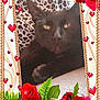 cat, black_cat, leopard_print, cushion, roses, red_roses, pink_roses, green_leaves, hearts, sparkles, floral_border, closeup, pet, indoor, relaxed, animal, cute, portrait, decorative_frame, love_theme
