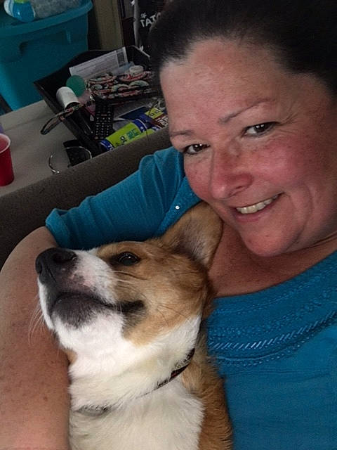 Monte is registered to the contest to win money with this photo: canidae, cardigan_welsh_corgi, carnivore, companion_dog, dog, dog_breed, ear, eye, eyebrow, head, mammal, norwegian_lundehund, nose, puppy, puppy_love, selfie, smile, snout, vertebrate, welsh_corgi