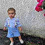 Louis participe au concours pour gagner de l'argent avec cette photo : toddler, child, boy, standing, outdoor, flowers, pink_flowers, wall, stucco_wall, shorts, suspenders, white_shirt, shoes, pavement, sidewalk, greenery, plants, petals, casual_clothing, young_child