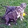 Bajie And Ruby