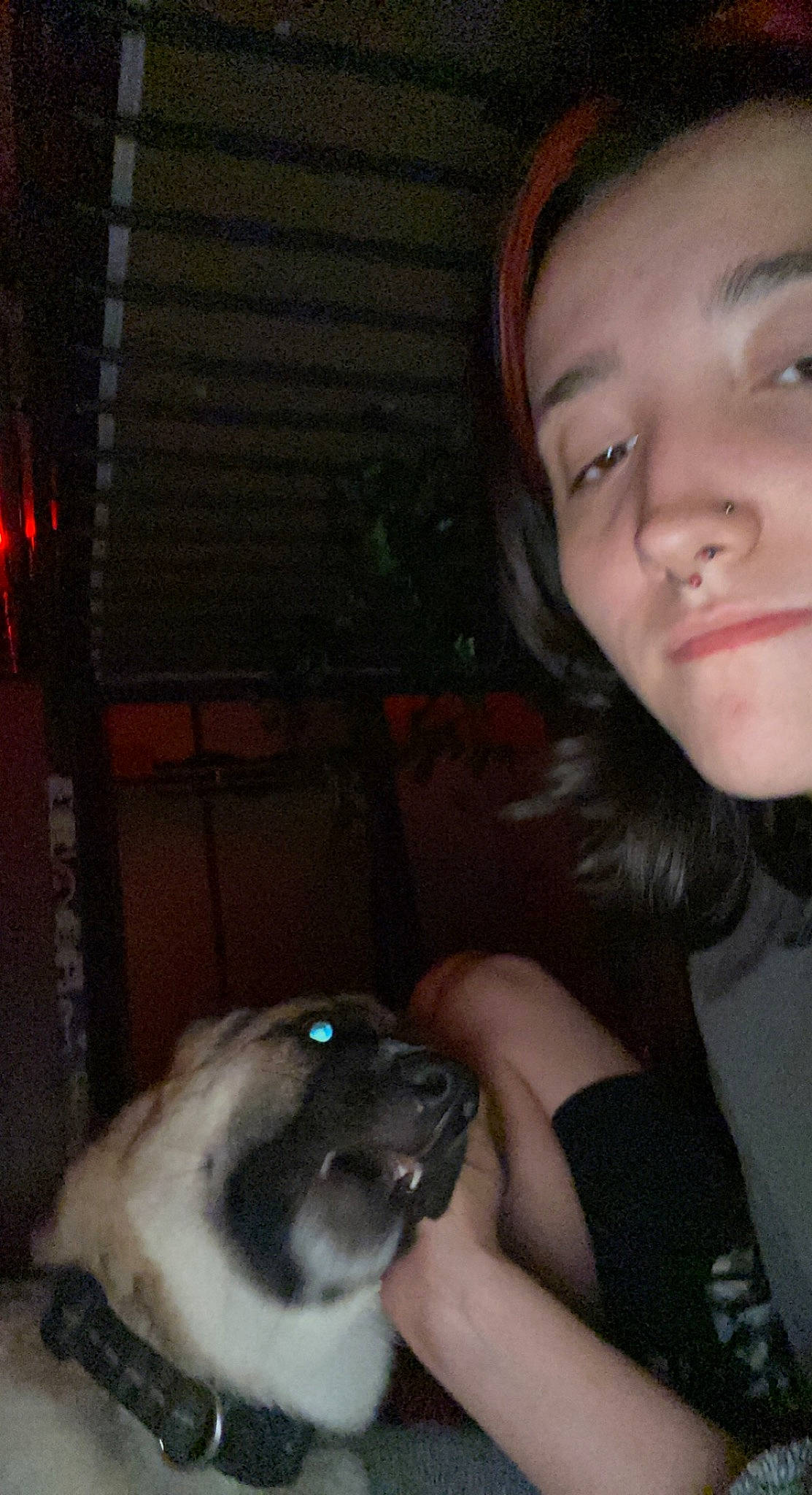 Ryuk joined the competition — help win amazing prizes! black_hair, carnivore, companion_dog, dog, dog_breed, ear, eye, eyelash, fawn, felidae, fun, fur, happy, long_hair, nose, skin, small_to_medium_sized_cats, smile, snout, whiskers