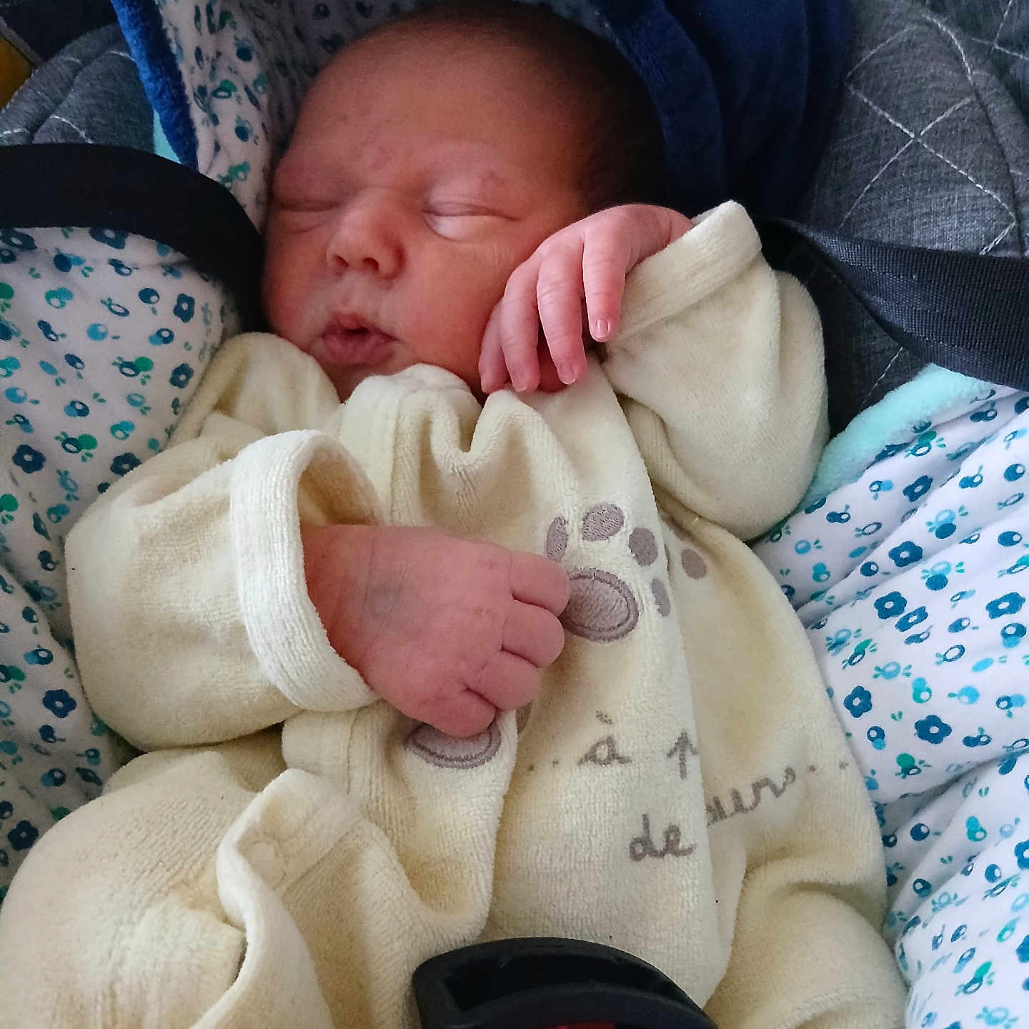 Honorine participe au concours pour gagner de l'argent avec cette photo : baby, babywear, blanket, car_seat, child, clothing, comfort, cushion, cute, indoors, infant, newborn, pajamas, paw_prints, peaceful, portrait, resting, seatbelt, sleeping, soft