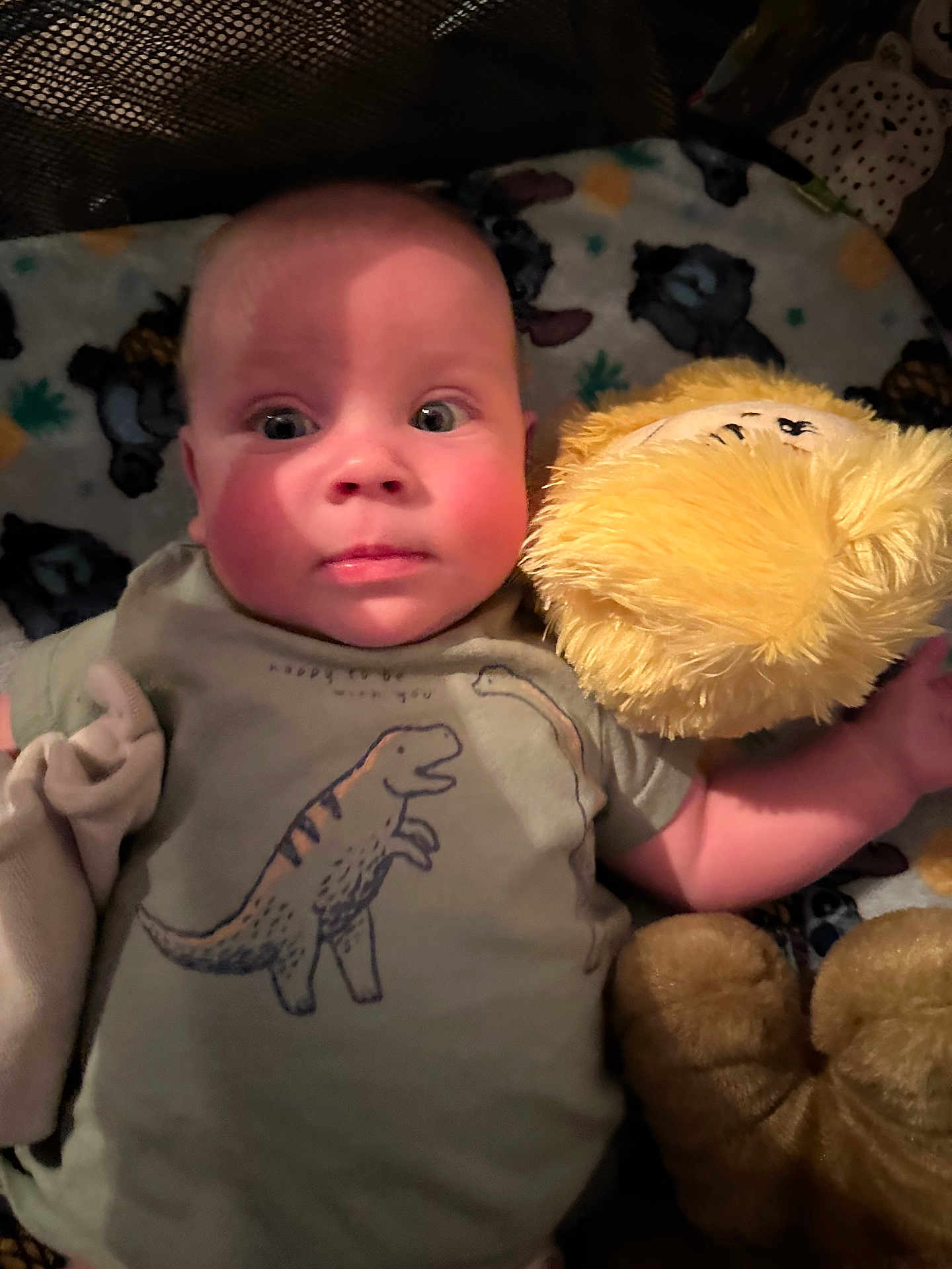 Aaron is registered to the contest to win money with this photo: baby, blanket, bodypart, clothing, couch, cushion, face, finger, furniture, hand, head, homedecor, newborn, person, photography, plush, portrait, t_shirt, teddybear, toy