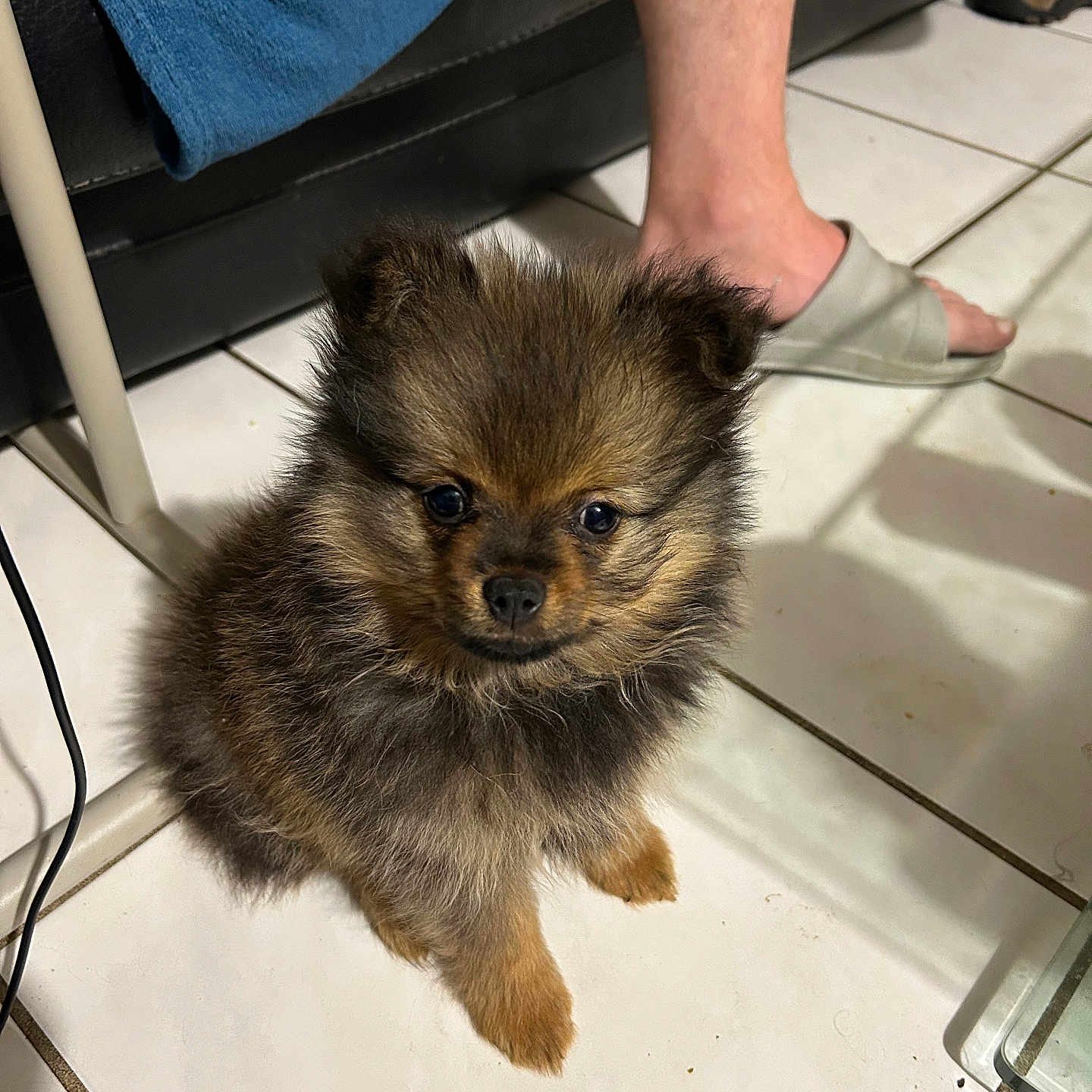 Charly