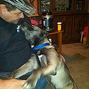 Bandit is registered to the contest to win money with this photo: man, dog, indoor, affection, pet, collar, couch, cabinet, carpet, sitting, casual_clothing, hat, jeans, footwear, hand, closeup, interaction, home, brown, furniture