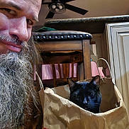 Kuro is registered to the contest to win money with this photo: man, beard, black_cat, cat, paper_bag, kitchen, chair, ceiling_fan, wooden_furniture, indoor, pet, curious, face, portrait, home, playful, animal, domestic, feline, person