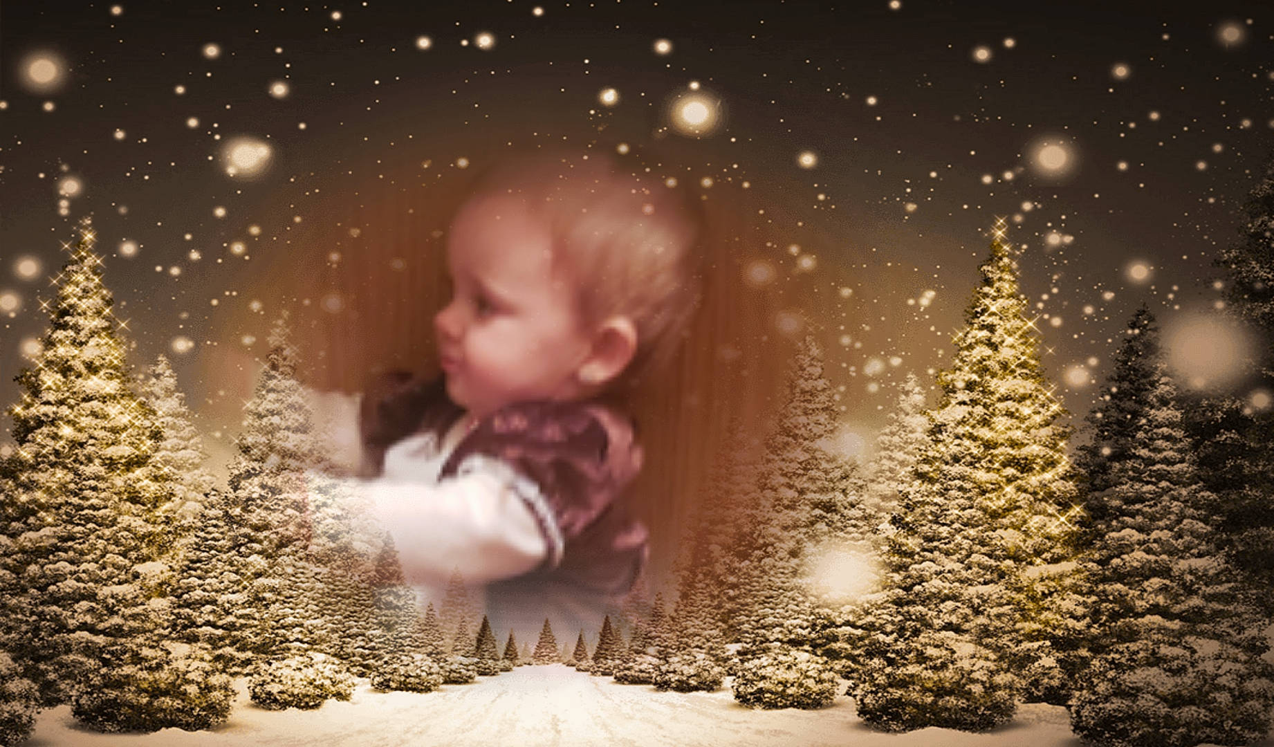 Ashley  joined the competition — help win amazing prizes! christmas, christmas_decoration, christmas_tree, computer_wallpaper, fir, freezing, girl, night, person, sky, snow, tree, winter