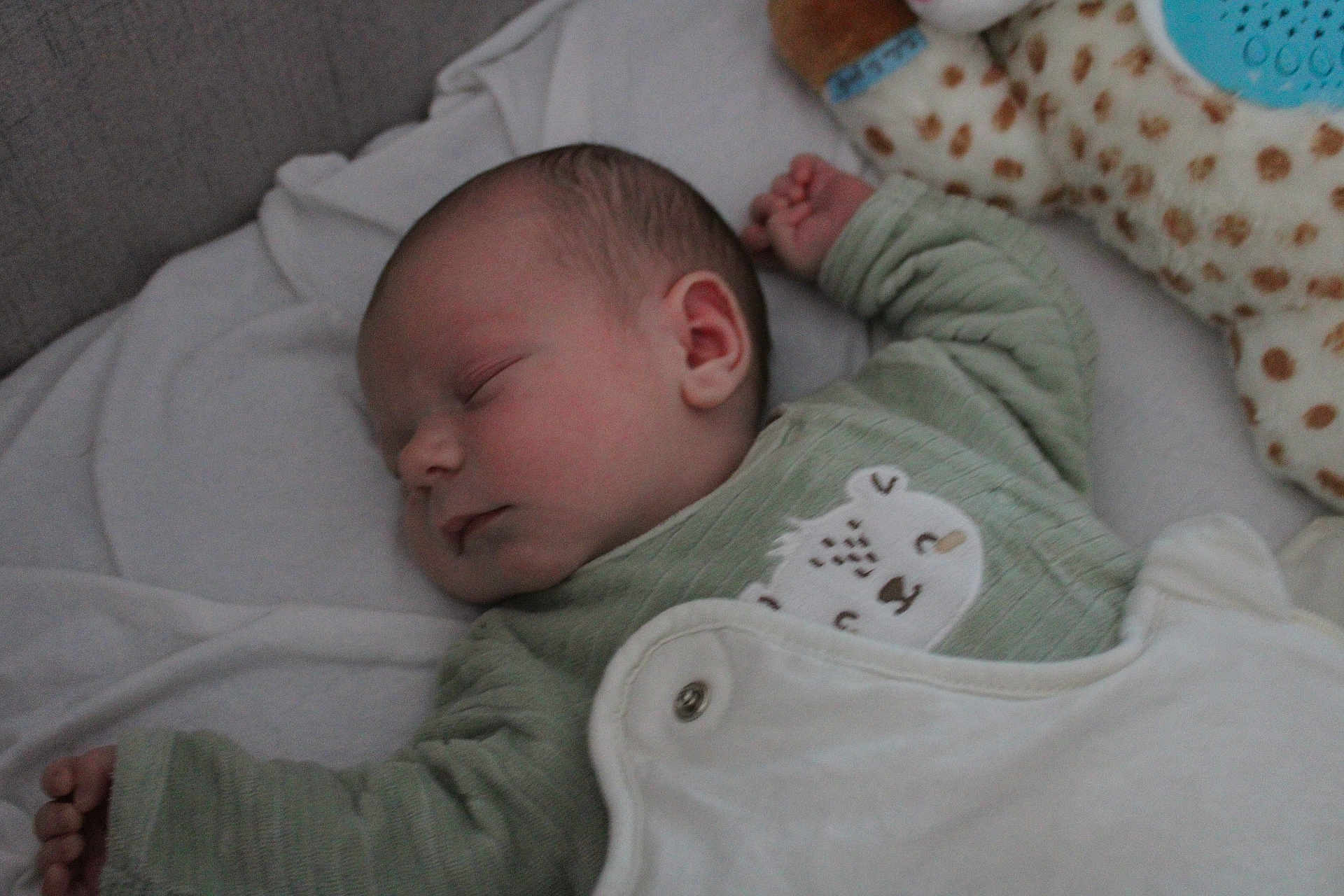 Owen a rejoint le concours — aidez-le/la à gagner de superbes lots ! baby, sleeping, infant, blanket, bed, green_clothing, cute, peaceful, soft_toys, cozy, closeup, face, head, hand, indoors, child, newborn, rest, sleepwear, portrait