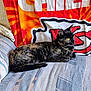 cat, tortoiseshell_cat, couch, blanket, indoor, pet, feline, animal, resting, side_view, patterned_fabric, colorful, orange, red, black, yellow_eyes, cozy, team_blanket, domestic_cat, relaxed
