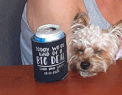 Lola joined the competition — help win amazing prizes! aluminum_can, beer, beverage_can, canidae, carnivore, companion_dog, cylinder, dog, dog_breed, dog_supply, drink, font, metal, small_terrier, sporting_group, table, terrier, tin, tin_can, toy_dog