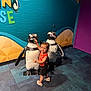 Ezra joined the competition — help win amazing prizes! toddler, child, penguin_statue, indoor, playful, carpet, colorful_wall, orange_shirt, black_shorts, white_sandals, smiling, decorative, floor, purple_door, blue_wall, yellow_wall, toy, statue, young_child, person