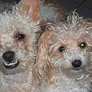 Efie participe au concours pour gagner de l'argent avec cette photo :