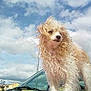 Efie participe au concours pour gagner de l'argent avec cette photo :