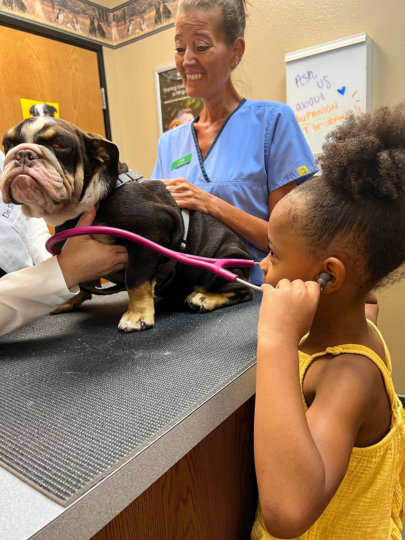 Kory Lynn joined the competition — help win amazing prizes! bulldog, canidae, carnivore, child, companion_dog, dog, dog_breed, dog_collar, event, fawn, flooring, fun, joy, leash, leisure, mammal, person, smile, t_shirt, toddler