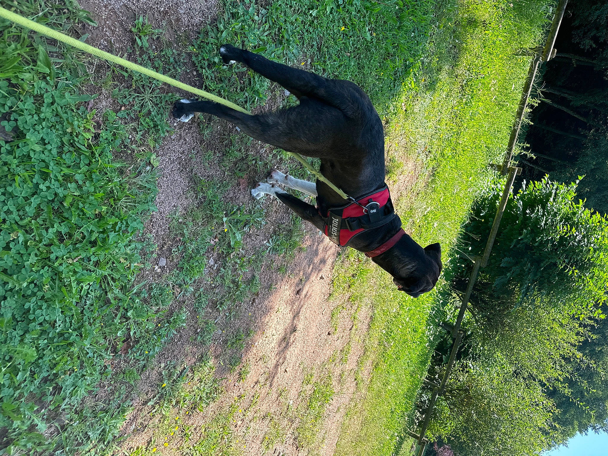 Taïko participe au concours pour gagner de l'argent avec cette photo : adventure, extreme_sport, fun, grass, grass_family, landscape, lawn, leisure, people_in_nature, plant, recreation, shadow, shrub, soil, sporting_group, tail, tree, trunk, water