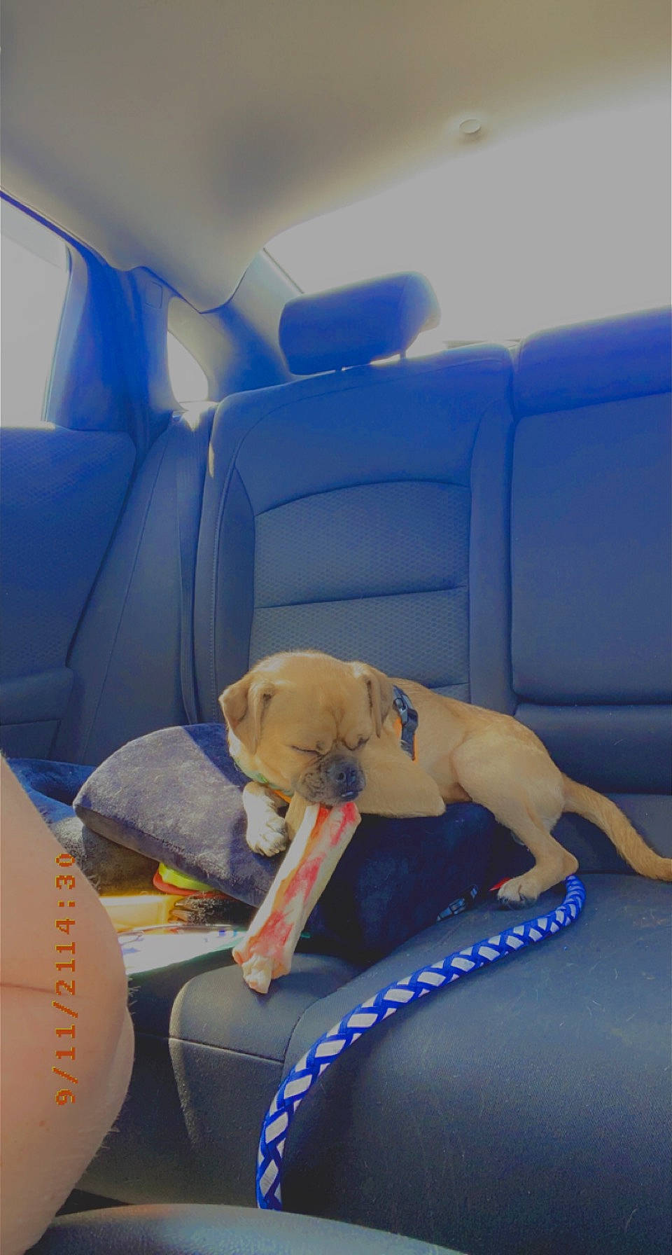 Osiris joined the competition — help win amazing prizes! air_travel, automotive_design, automotive_exterior, car_seat, car_seat_cover, comfort, electric_blue, family_car, head_restraint, human_leg, inflatable, knee, leisure, luxury_vehicle, motor_vehicle, recreation, shorts, thigh, trunk, vehicle