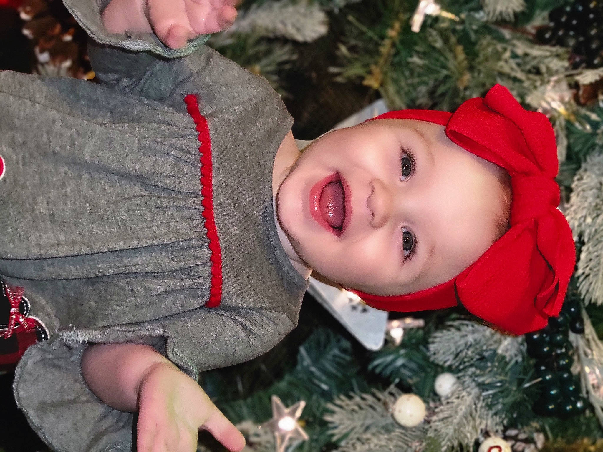 Allie joined the competition — help win amazing prizes! cheek, christmas_ornament, facial_expression, flash_photography, fun, grass, happy, headwear, human_body, leaf, mammal, mouth, nose, organ, people_in_nature, person, plant, skin, smile, tree