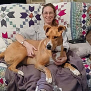 Sadie joined the competition — help win amazing prizes! blanket, brown_dog, casual_clothing, comfort, couch, dog, furniture, glasses, happy, home, indoor, living_room, person, pet, quilt, relaxation, remote_control, seated, smile, woman