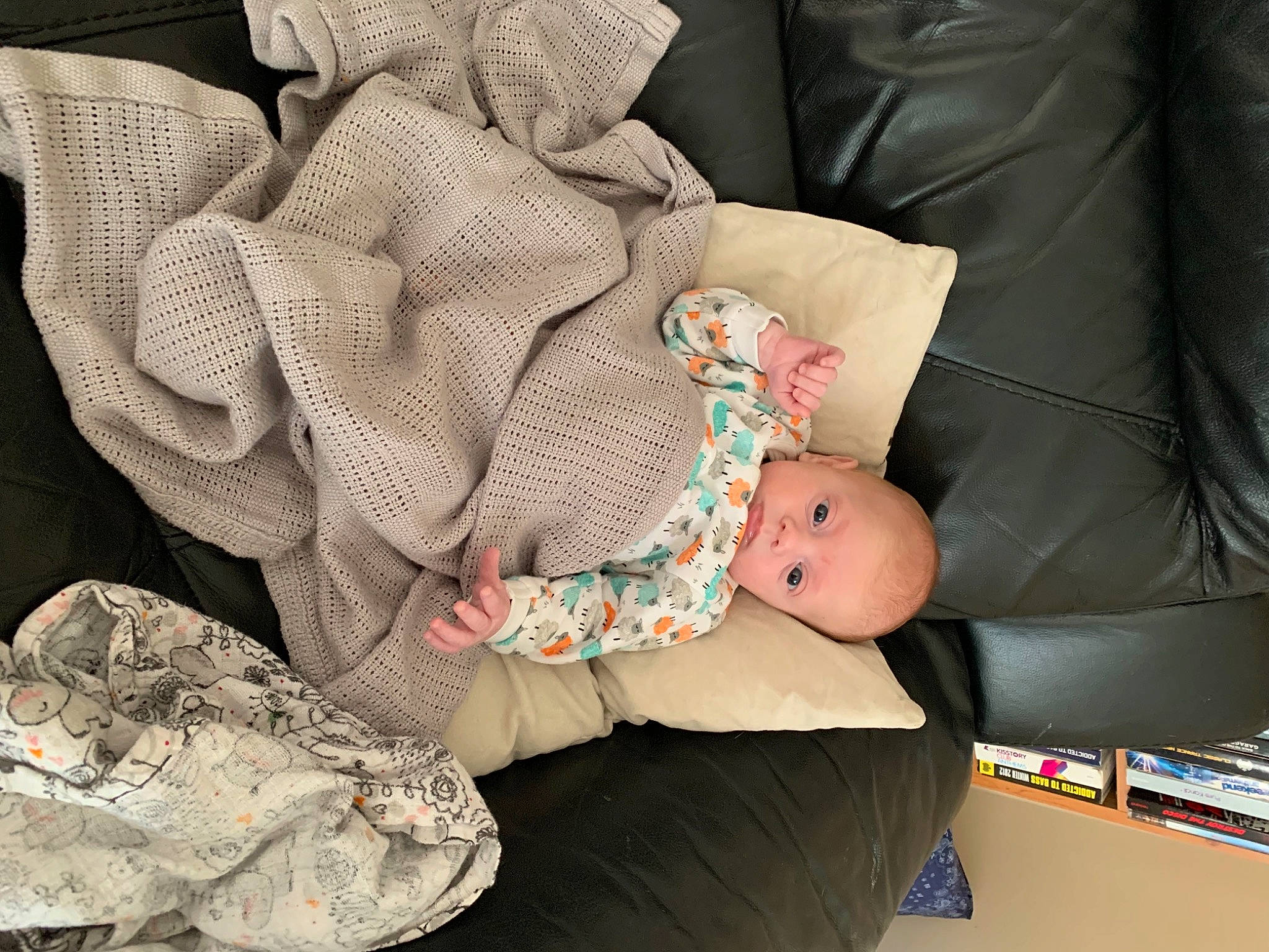 Alec joined the competition — help win amazing prizes! arm, baby, baby_carriage, baby_products, baby_sleeping, baby_toddler_clothing, child, comfort, hand, human_body, human_leg, lap, leg, mammal, nail, person, product, textile, thigh, toddler