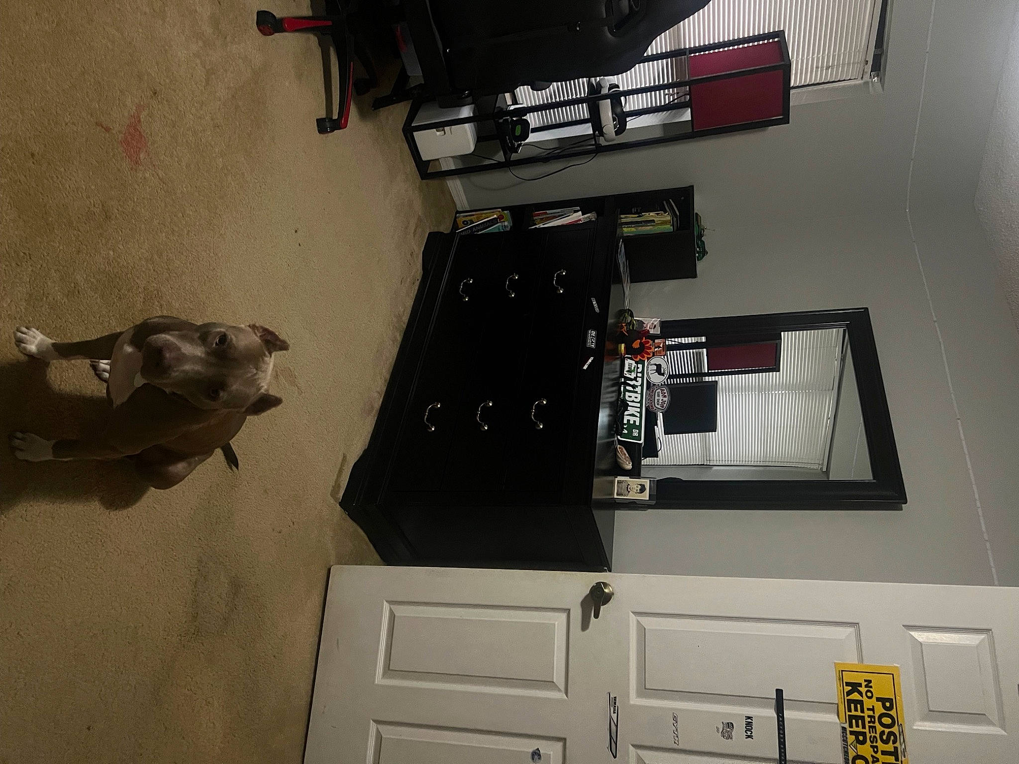 Sugar is registered to the contest to win money with this photo: art, building, cabinetry, ceiling, floor, flooring, hardwood, house, interior_design, machine, material_property, plaster, room, sculpture, shelving, space, stairs, table, wall, wood