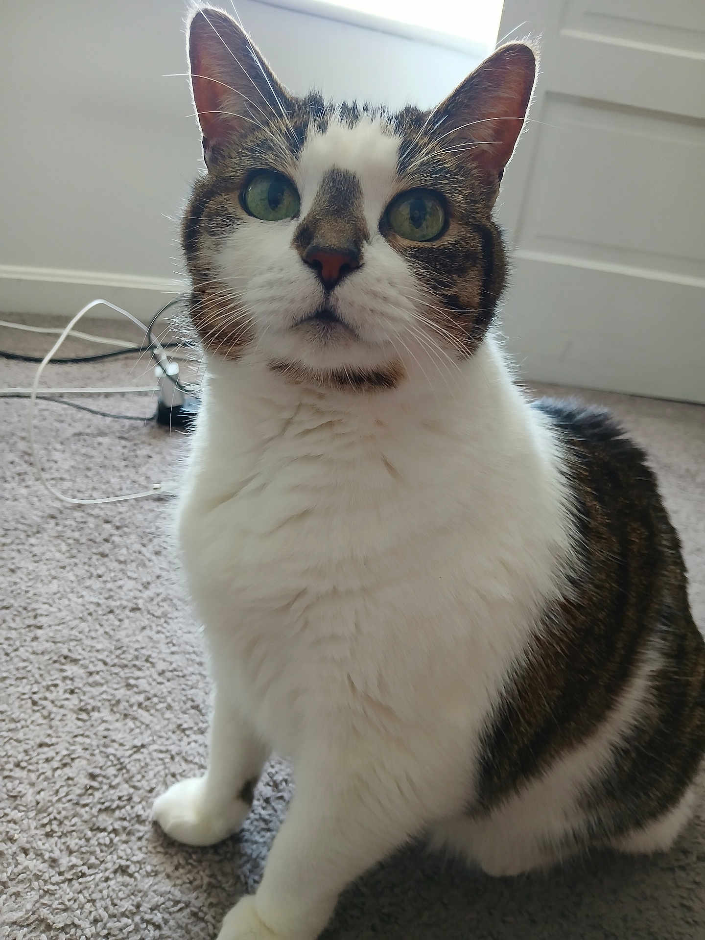 Xena