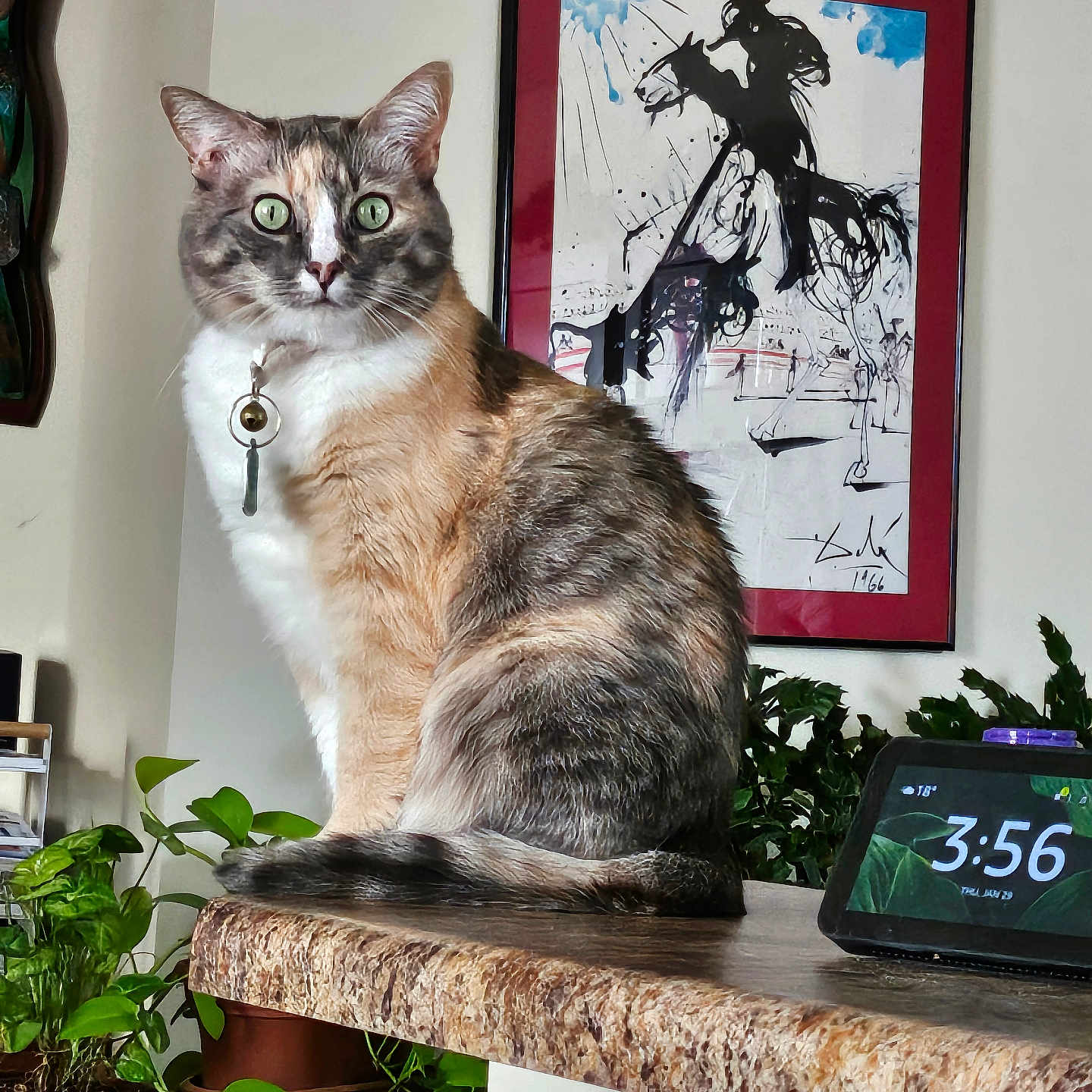 Creammy joined the competition — help win amazing prizes! animal, calico, cat, countertop, cozy, decor, digital_clock, domestic, feline, framed_art, green_eyes, houseplant, indoor, looking, painting, pet, plant, portrait, sitting, table