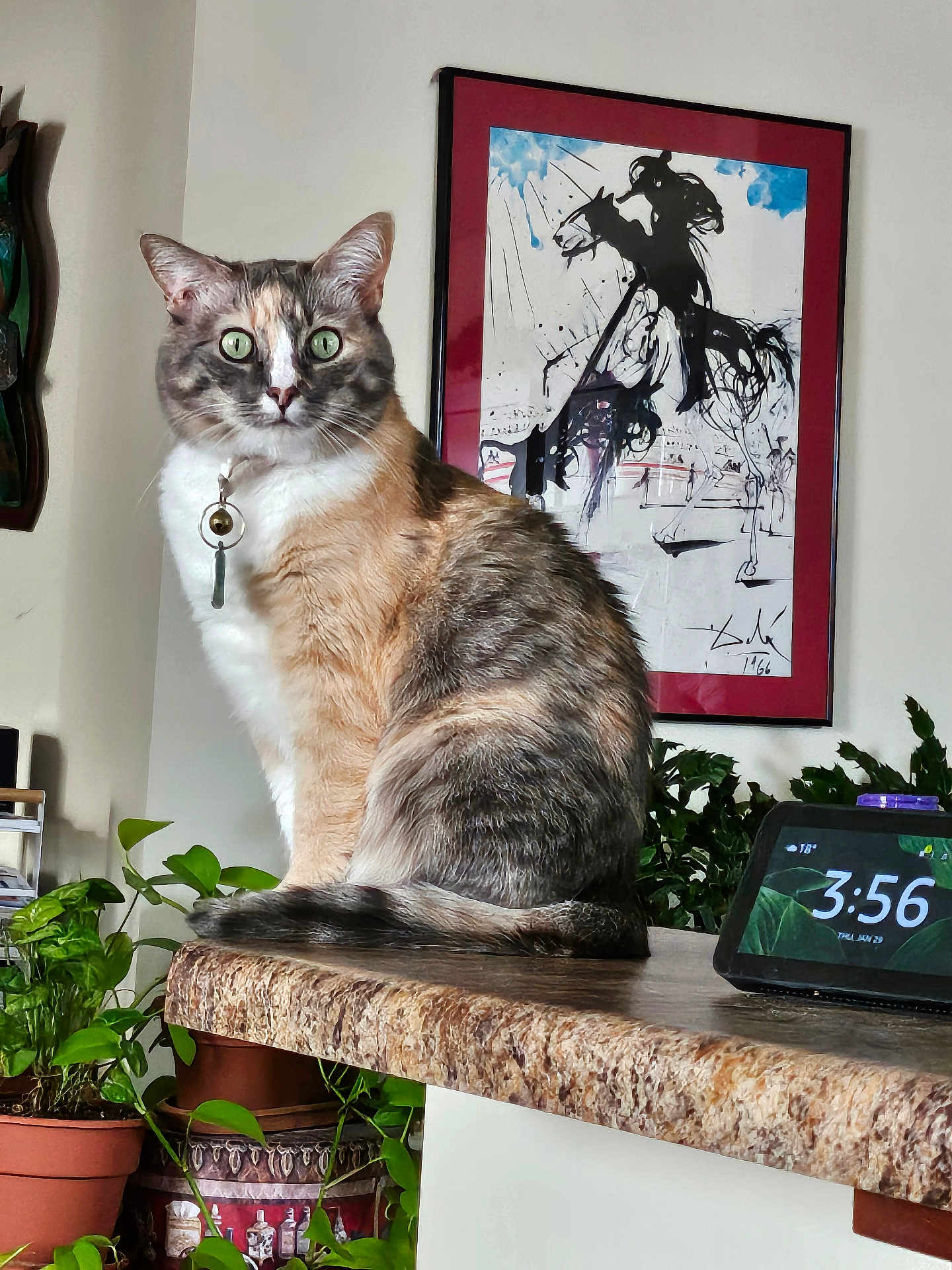 Creammy joined the competition — help win amazing prizes! cat, calico, indoor, plant, countertop, painting, framed_art, digital_clock, green_eyes, feline, decor, houseplant, table, pet, animal, portrait, looking, sitting, domestic, cozy