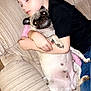 boy, child, sleeping, pug, dog, hugging, couch, indoor, pet, animal, cozy, relaxing, casual_clothing, black_shirt, blue_jeans, furniture, nap, cute, friendship, home