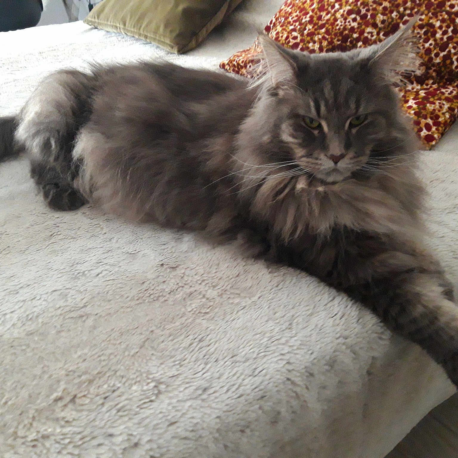 Naïs