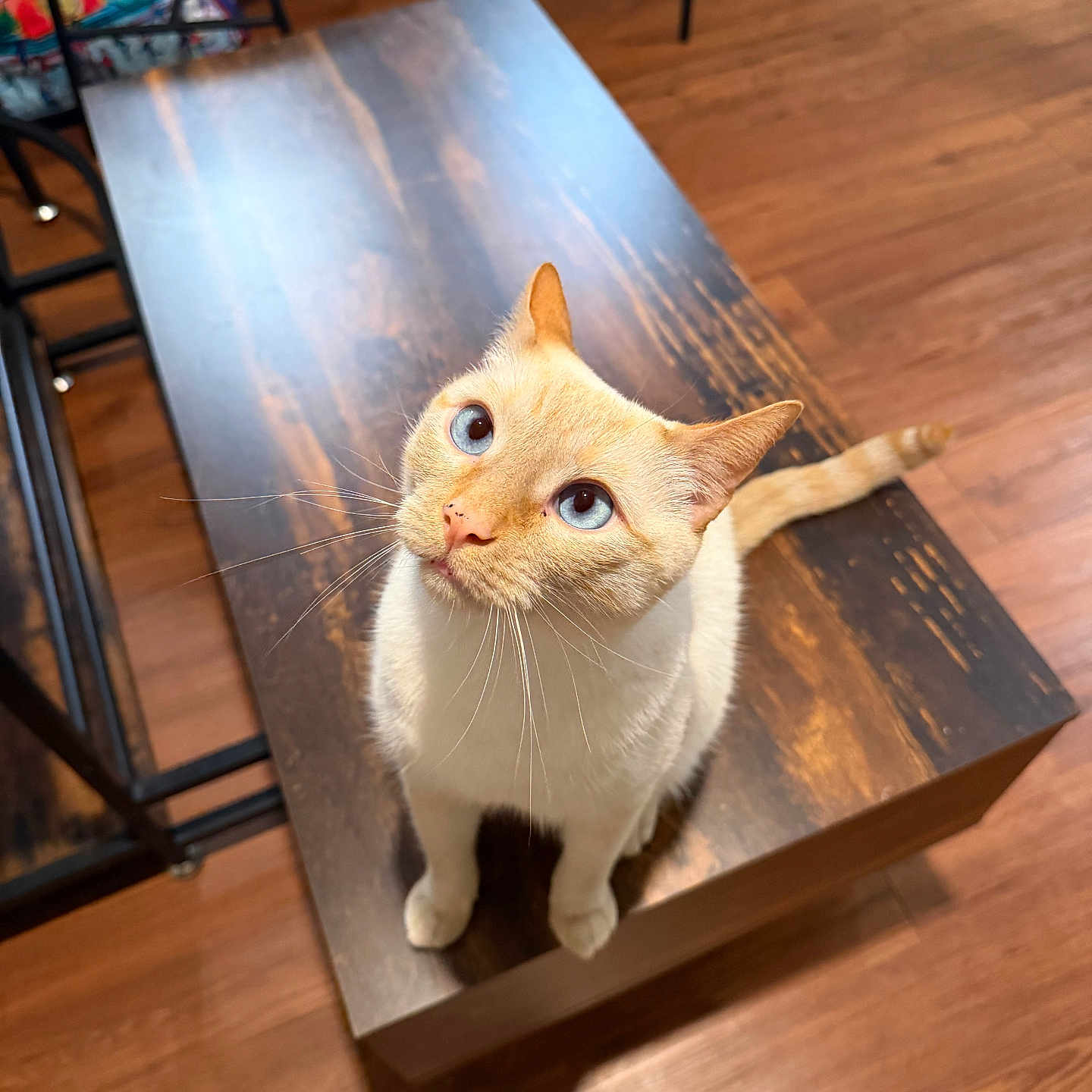 Sebastian