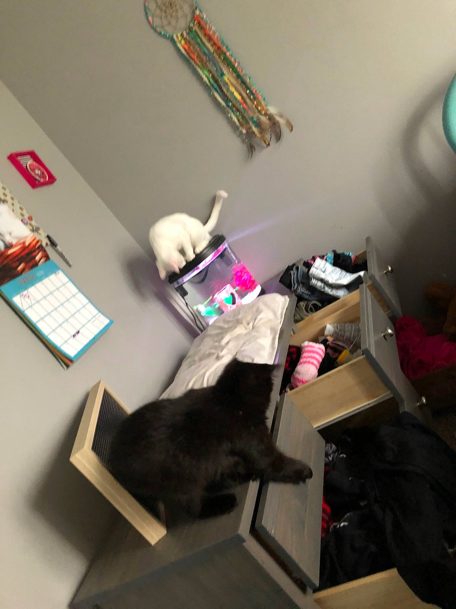 Elle joined the competition — help win amazing prizes! furniture, room