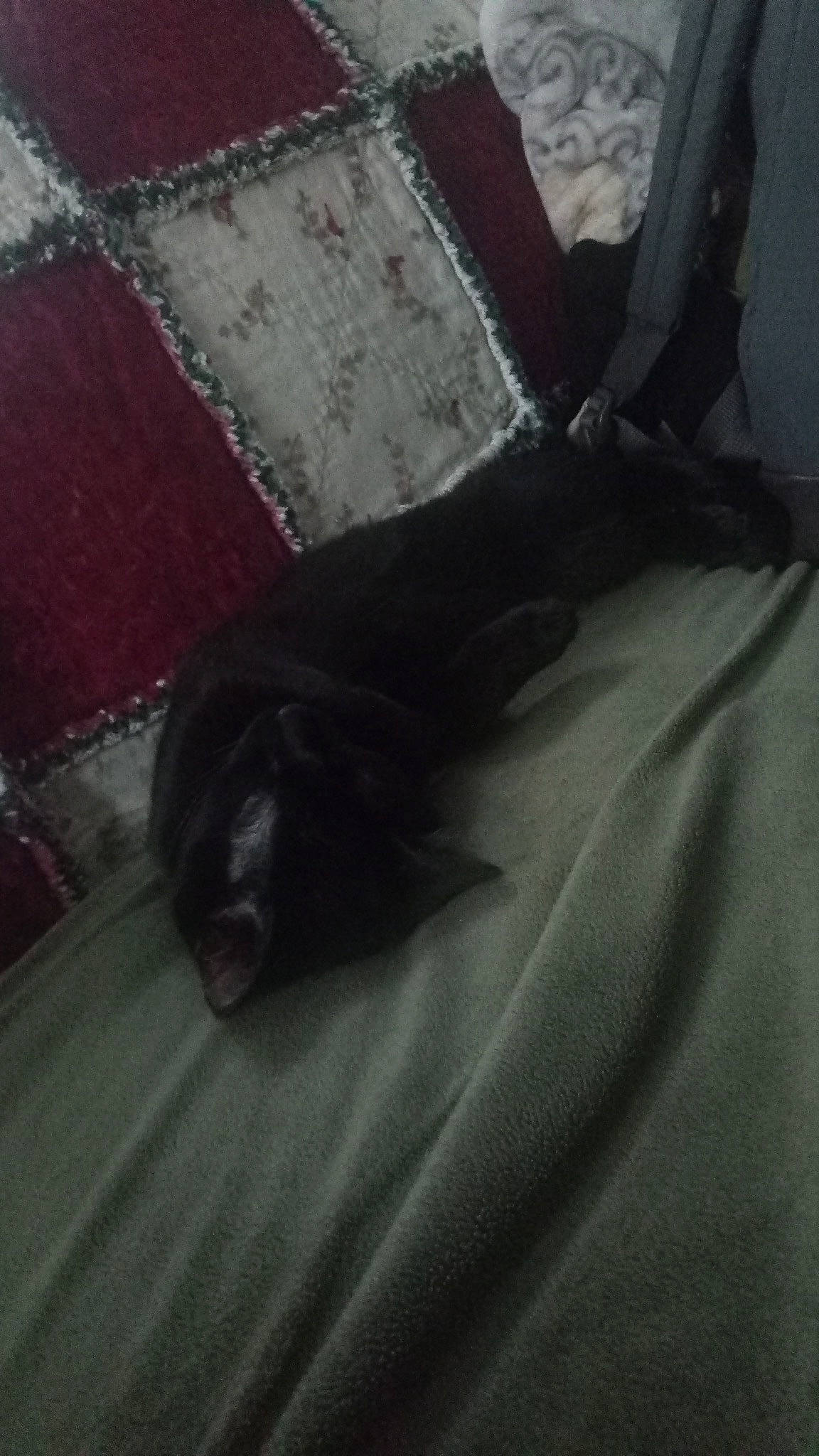 Spooky is registered to the contest to win money with this photo: footwear