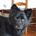 Jean Y. C.