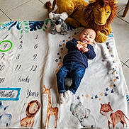 Léon a rejoint le concours — aidez-le/la à gagner de superbes lots ! animal_illustrations, baby, blanket, child, clothing, cute, elephant, floor_tiles, fox, giraffe, indoor, jeans, lion, milestone_blanket, person, plush_koala, plush_lion, rhino, smiling, socks