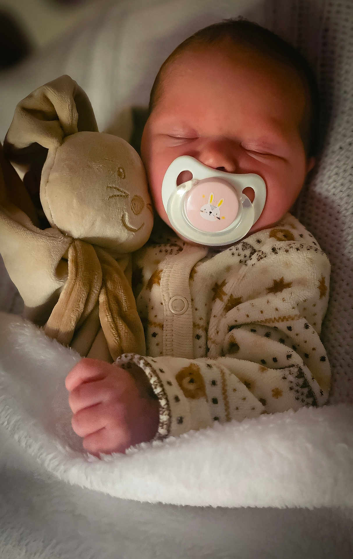 Cataleya participe au concours pour gagner de l'argent avec cette photo : baby, sleeping, pacifier, stuffed_animal, bunny, blanket, pajamas, cozy, infant, cute, soft_toy, child, peaceful, hand, face, indoors, warm, rest, snuggle, portrait