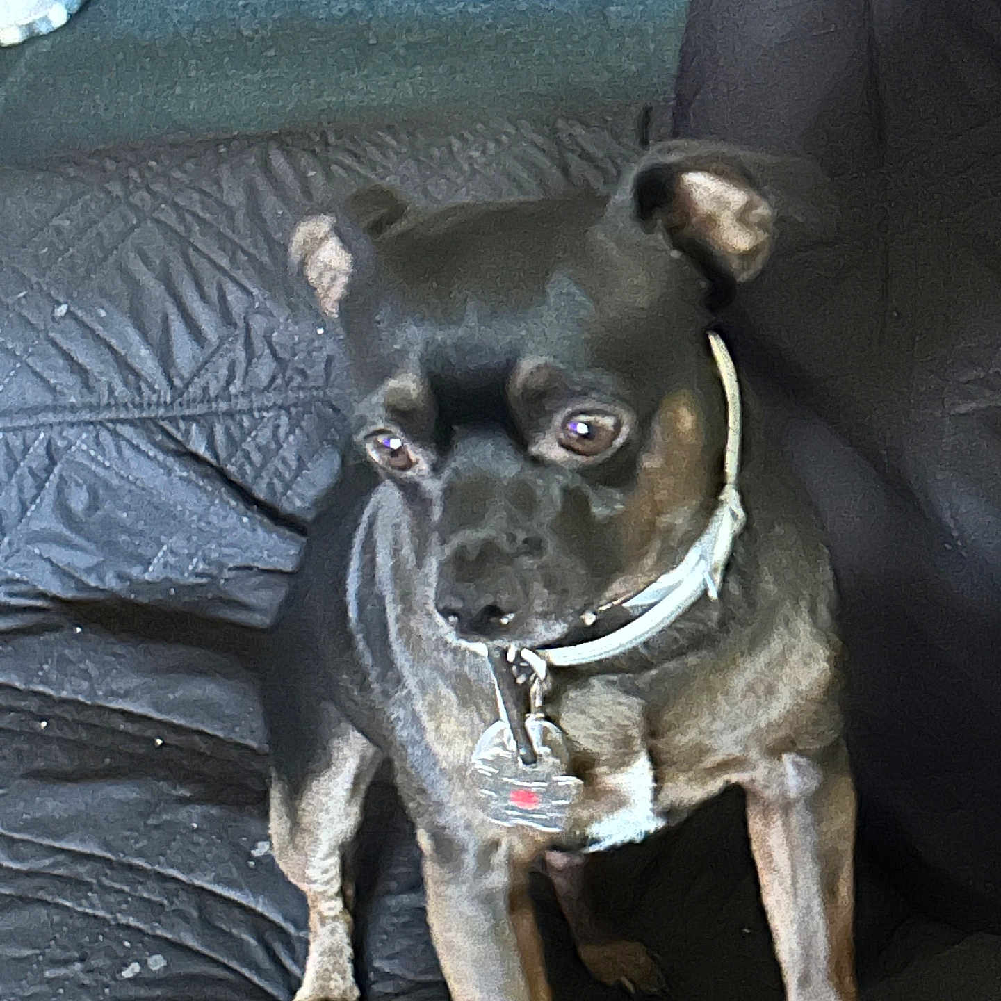 Max