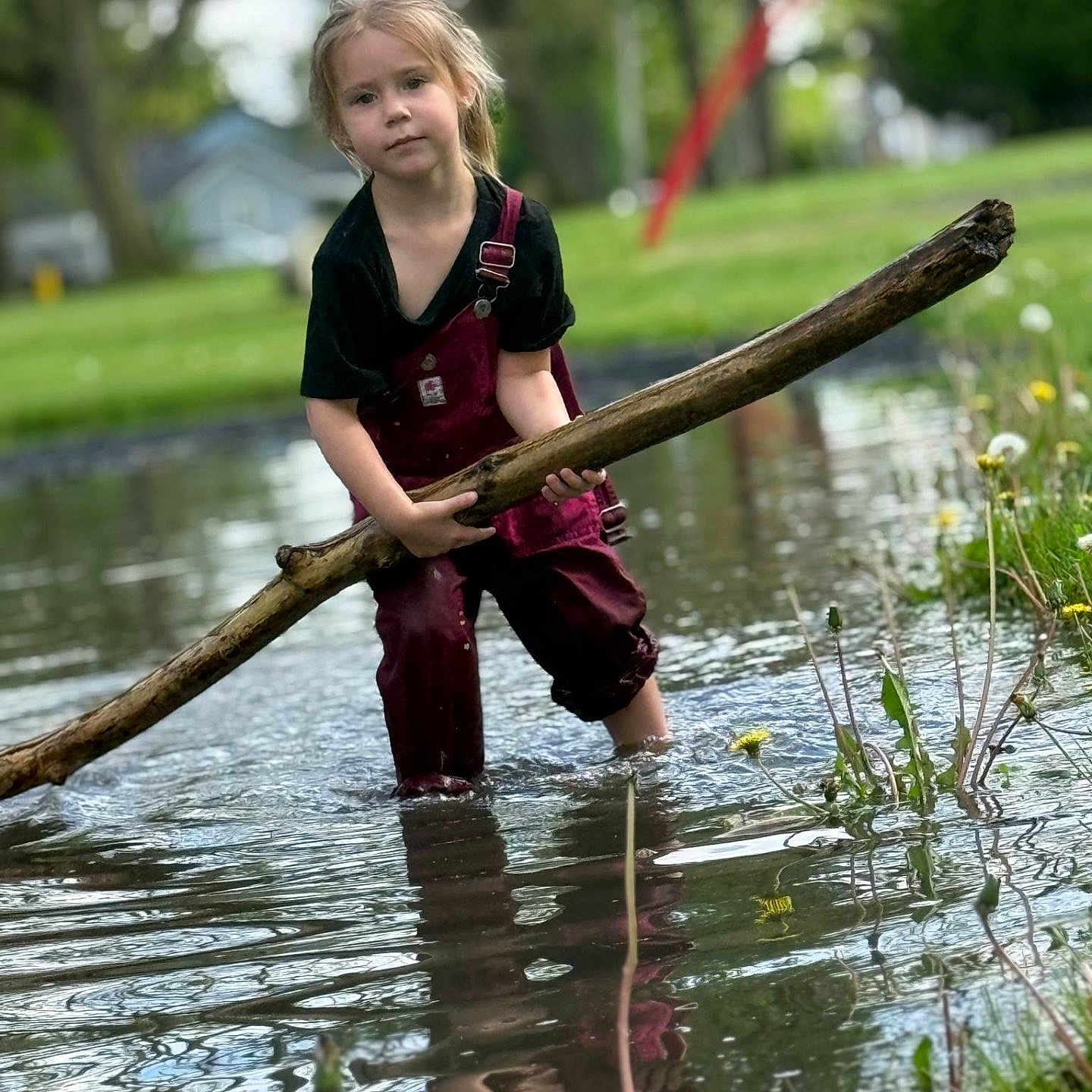 Phoenix joined the competition — help win amazing prizes! adventure, black_shirt, child, daylight, fun, grass, muddy, nature, outdoor, overalls, person, play, playground, pond, reflection, stick, summer, trees, water, young