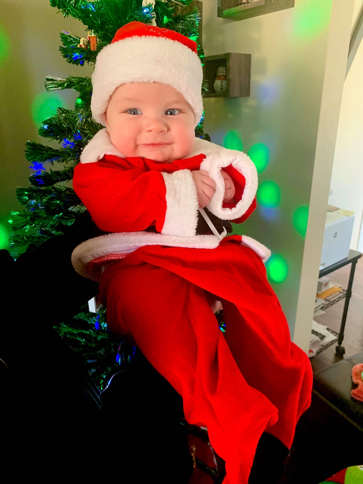 Dash joined the competition — help win amazing prizes! christmas, christmas_decoration, christmas_eve, christmas_ornament, costume_accessory, costume_hat, event, fictional_character, fur, green, headwear, holiday, human, interior_design, lighting, person, pleased, red, santa_claus, shoe